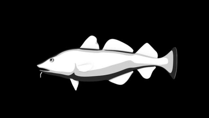 鳕鱼游泳3D草图