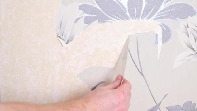 用刮刀和喷雾器用水去除旧墙纸。一个男人拿走房间里的旧墙纸。