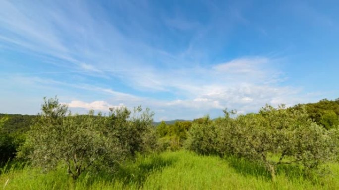 意大利托斯卡纳乡村的时光流逝橄榄树，天空和云