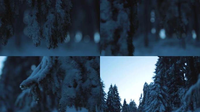 在积雪覆盖的黑暗冬季森林中发现树线后面的朝阳