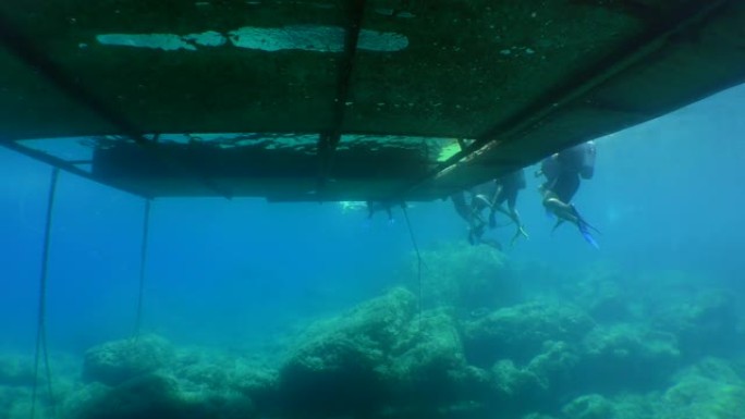 潜水训练: 一群学生潜水员在浮台边缘，仰视。