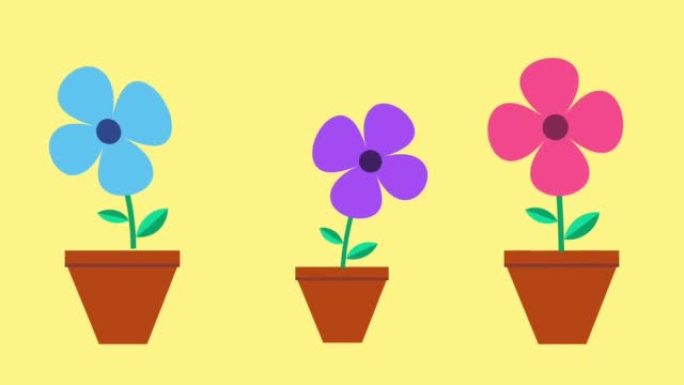 高分辨率60fps的彩色简单2d花卉动画。