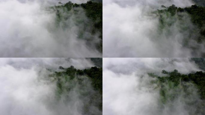 高地雨林的鸟瞰图低雾云