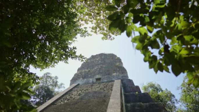 蒂卡尔玛雅金字塔的风景