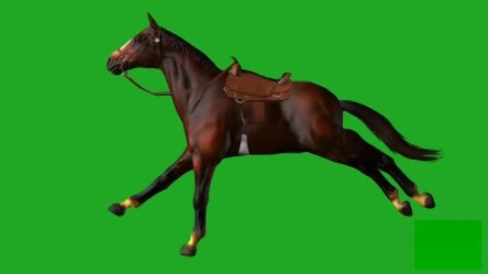 在绿色屏幕上奔跑的马