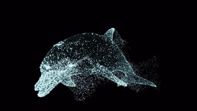 动画粒子海豚漂浮物。