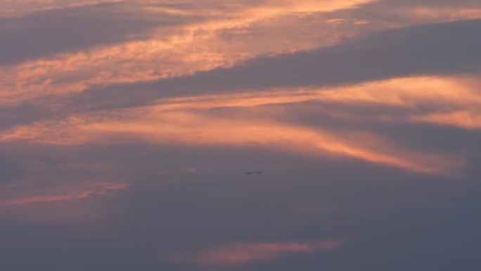 两只鸟飞入五彩缤纷的夕阳云然后飞走，4k实时镜头。