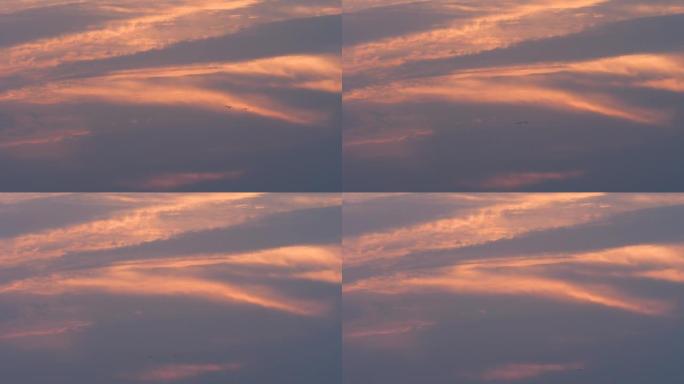 两只鸟飞入五彩缤纷的夕阳云然后飞走，4k实时镜头。