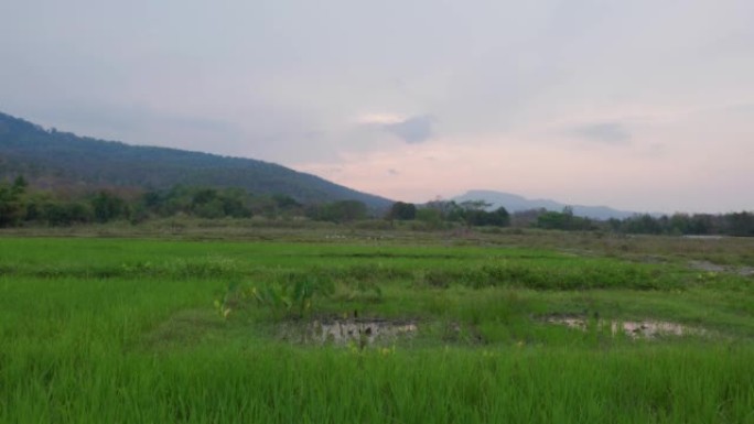 4k日落时泰国北部清迈怀图腾梭湖山脉的电影风景镜头 (1)