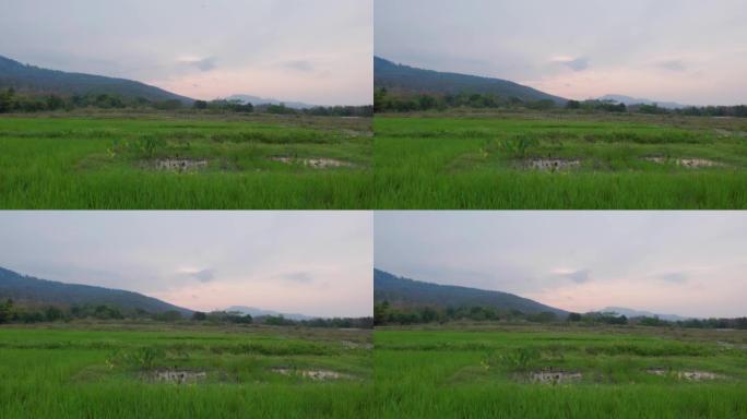 4k日落时泰国北部清迈怀图腾梭湖山脉的电影风景镜头 (1)