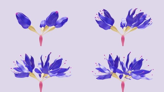 通过基因修饰或基因组编辑创建的紫色花朵开放