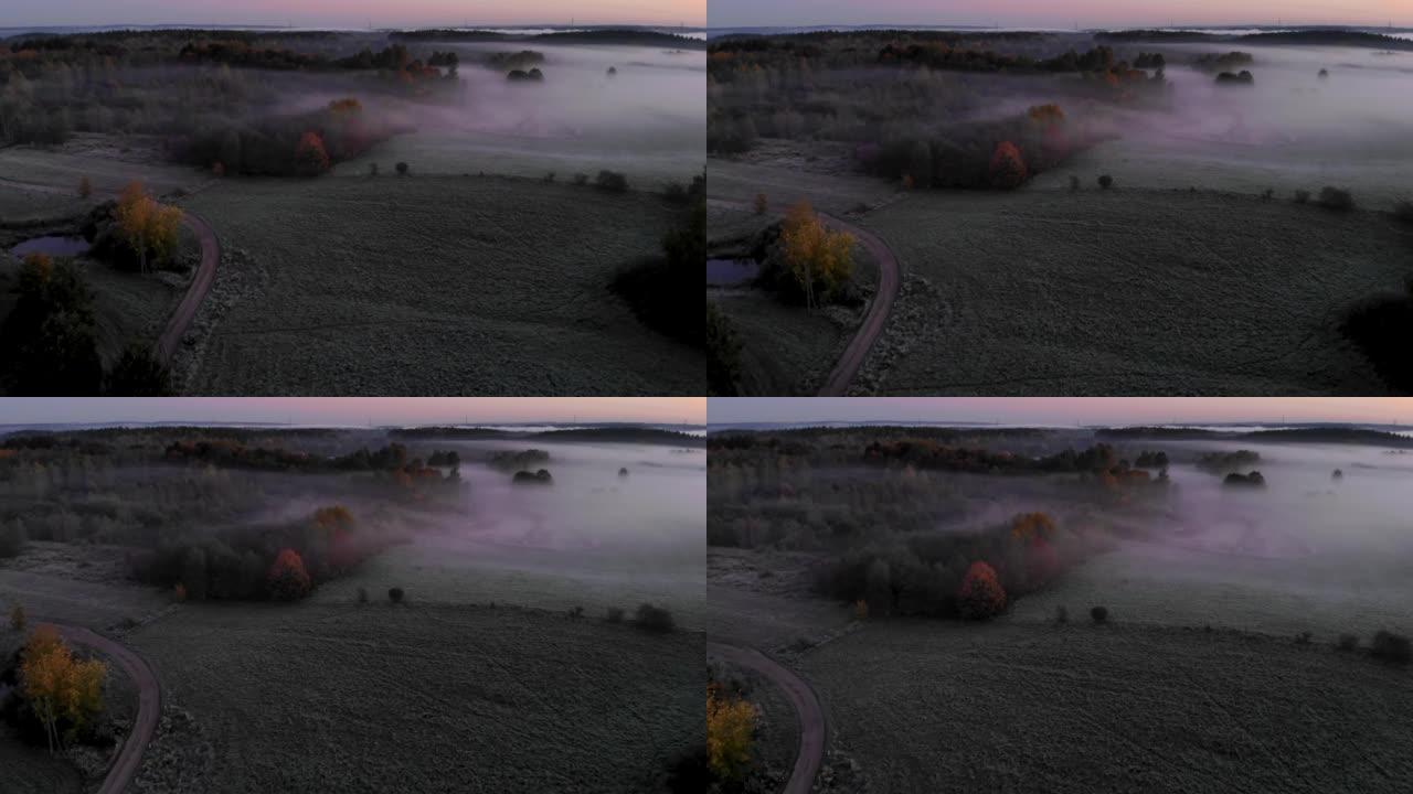 日出时雾蒙蒙的五颜六色的树木的惊人鸟瞰图。秋雾景观。雄伟的薄雾森林。鸟瞰图。薄雾笼罩的乡村的日出。神