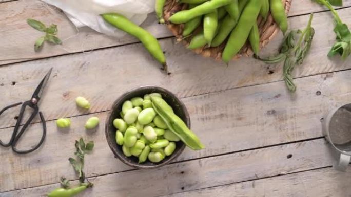 新鲜和生的绿色蚕豆