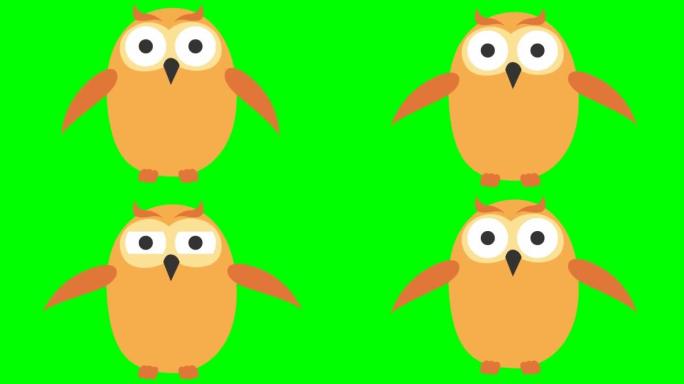 动画有趣的猫头鹰苍蝇。循环视频。矢量插图孤立在绿色背景上。