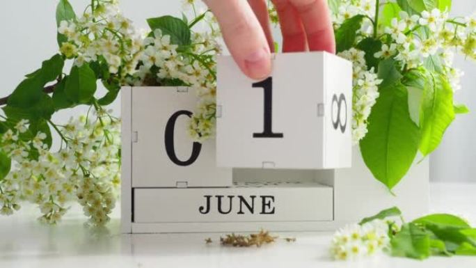 6月1日日历块放在白色桌子上，上面摆着鸟儿樱花。在立方万年历上翻转日历。儿童假期。儿童节。