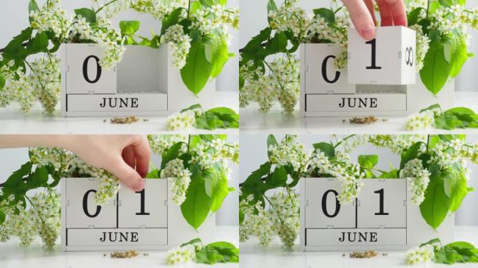 6月1日日历块放在白色桌子上，上面摆着鸟儿樱花。在立方万年历上翻转日历。儿童假期。儿童节。