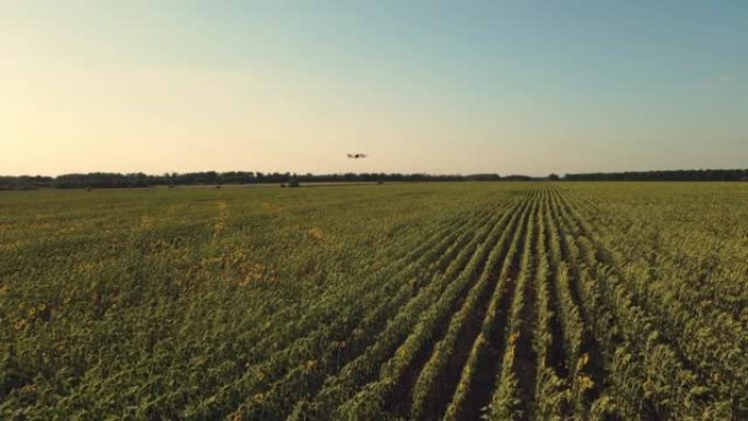 智能农业无人机在农田上空飞行，进行数据采集