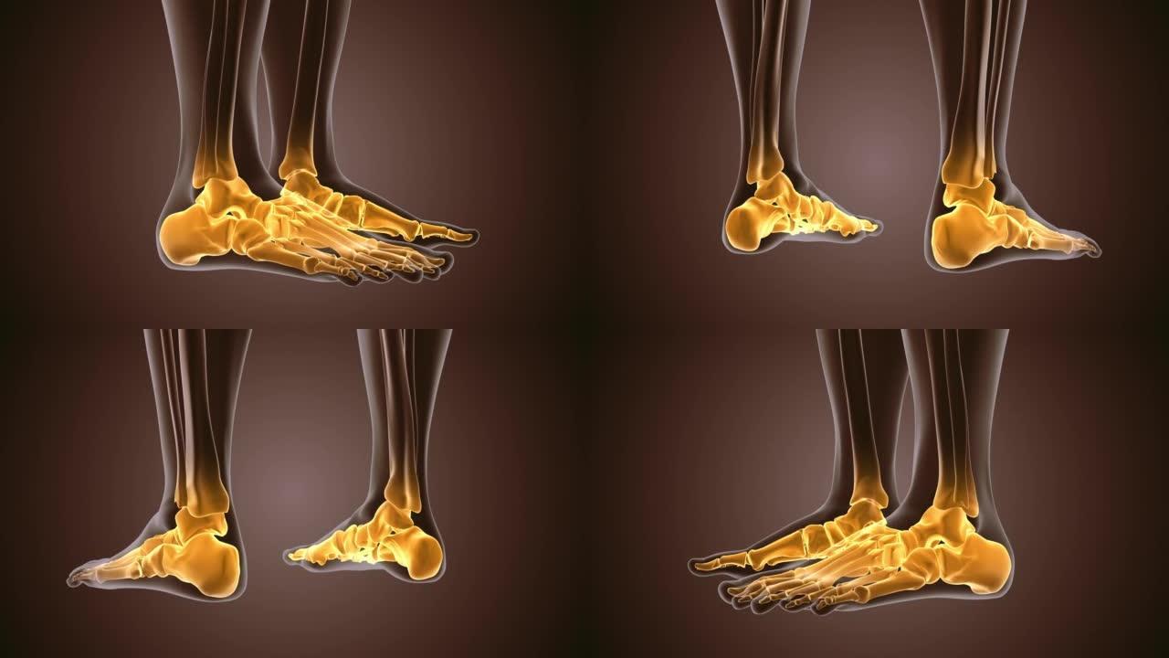 人体脚踝疼痛的3d渲染