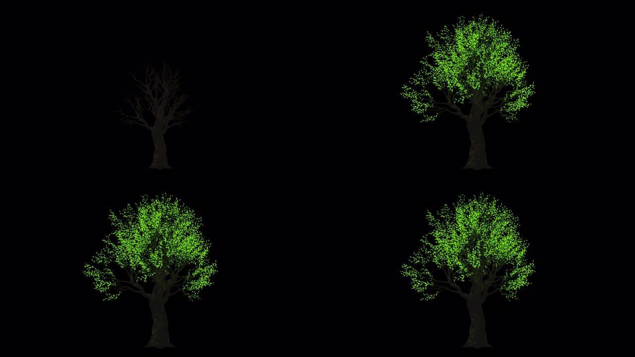 透明 (alpha) 背景的光树生长动画