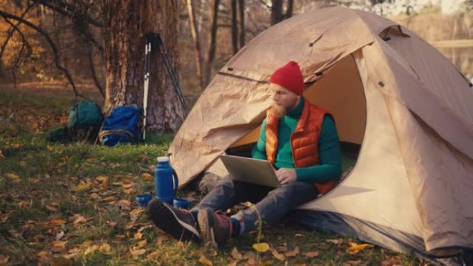 大胡子男性游客在野营帐篷里用笔记本电脑工作，降档，自由职业者