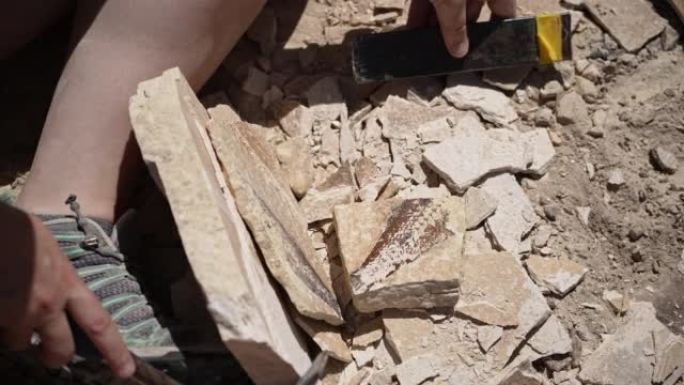 人在怀俄明州分裂开放岩层，发现鱼类化石