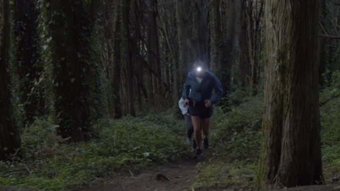 黄昏时分，在森林的小径上奔跑着火炬的跑步者