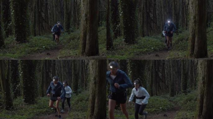 黄昏时分，在森林的小径上奔跑着火炬的跑步者