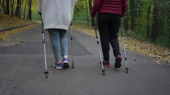 现场摄像机跟随两个无法辨认的女人的腿，在户外与杆子漫步。秋天公园自信的成年朋友散步训练的背影。北欧步