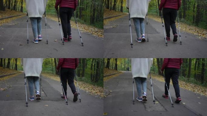 现场摄像机跟随两个无法辨认的女人的腿，在户外与杆子漫步。秋天公园自信的成年朋友散步训练的背影。北欧步