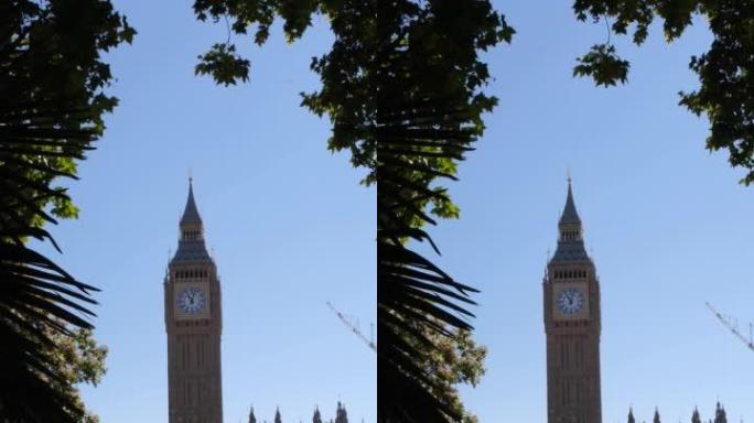 英国伦敦，2022年7月11日: 从议会广场花园观看伦敦大本钟。