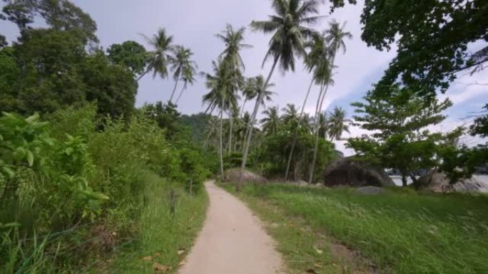 在椰子种植园的道路上缓慢移动