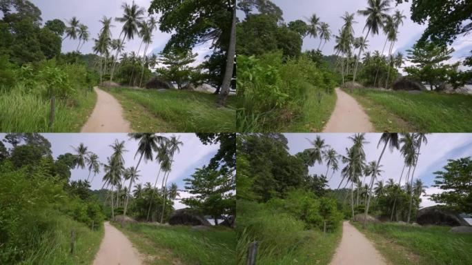 在椰子种植园的道路上缓慢移动