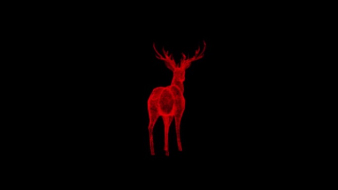 3D鹿在黑色背景上旋转。物体溶解红色闪烁粒子60 FPS。科学概念。标题、演示文稿的抽象bg。全息屏