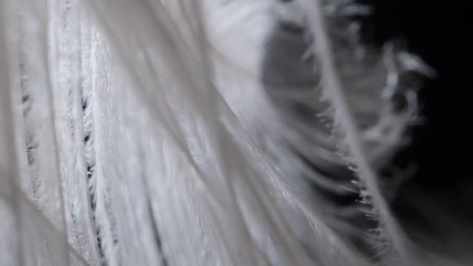 相机在黑色背景上滑过白色羽毛。多莉滑块极限特写。