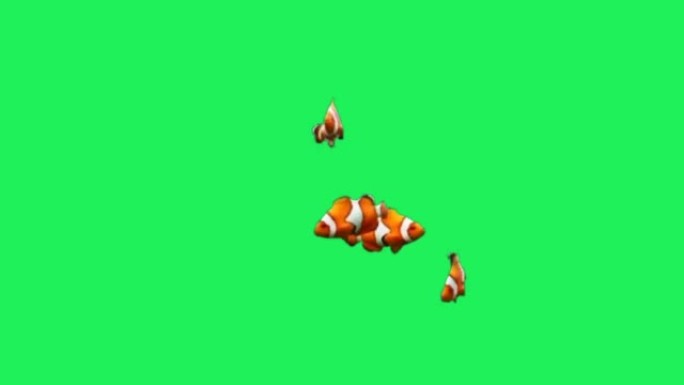 绿色背景上的动画橙色卡通鱼。