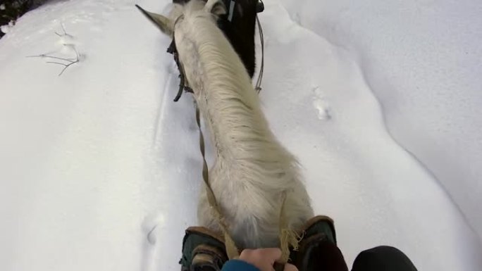 马的鬃毛和他手中的缰绳的特写。骑马，第一人称视角。令人惊叹的冬季森林。走在前面的新郎向导的景色。
