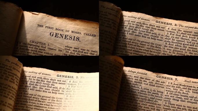摩西的第一本书叫创世纪
