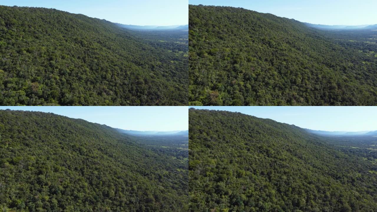 马托格罗索山区巴西塞拉多 (萨凡纳) 森林的鸟瞰图