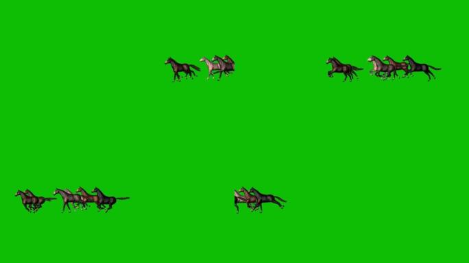 在绿色屏幕上奔跑的马匹