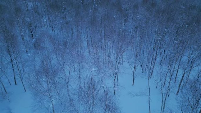 雪林鸟瞰图北国风光鸟瞰景色