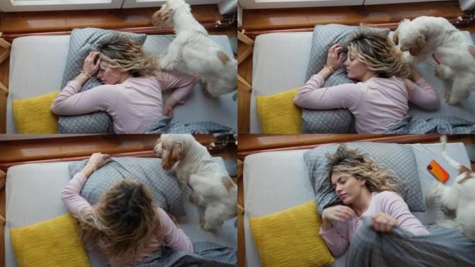 女人试着睡觉，狗不让她睡觉。