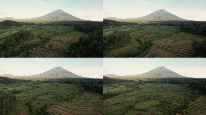 巴厘岛火山的空中射击，无人机射击，向前飞行，越过稻田和梯田。多云的天空。