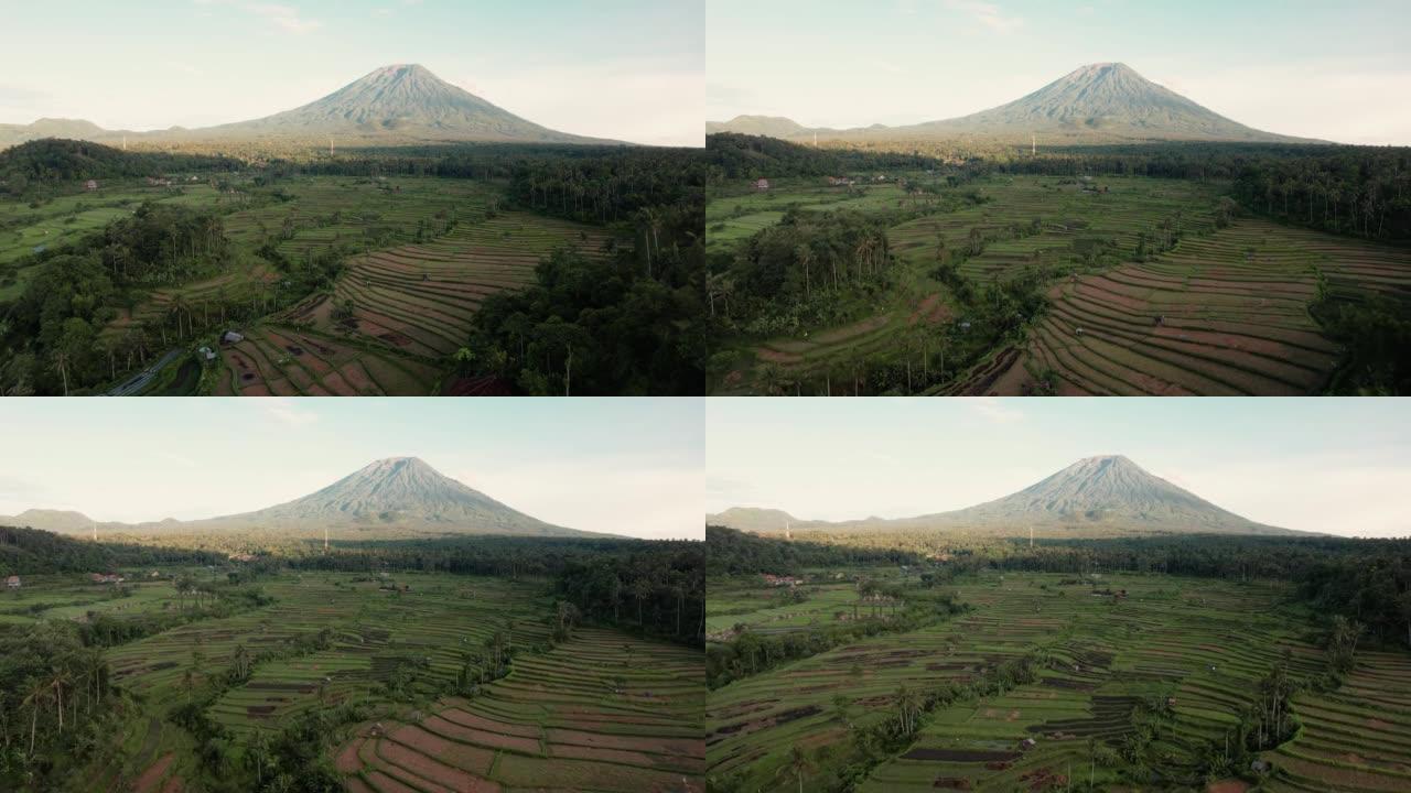 巴厘岛火山的空中射击，无人机射击，向前飞行，越过稻田和梯田。多云的天空。