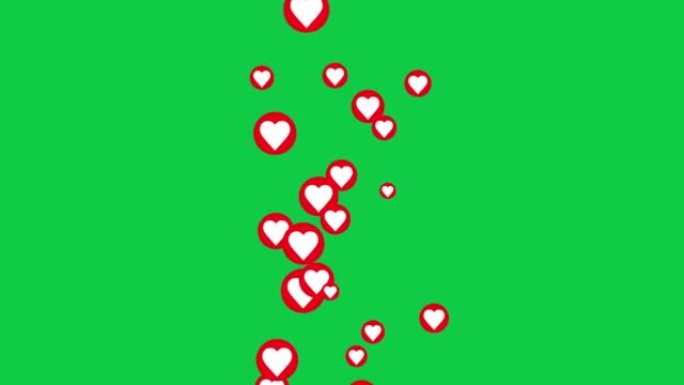 抽象动画3d红色圆圈心漂浮在绿色屏幕背景上。4k 3d无缝循环心，用于浪漫场合，婚礼，情人节，母亲节