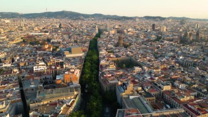 日出时以著名的拉兰布拉街鸟瞰图巴塞罗那。西班牙加泰罗尼亚
