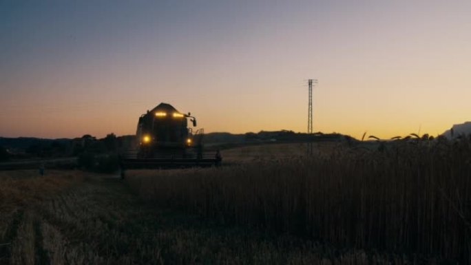 收割机在晚上在农田上收割小麦