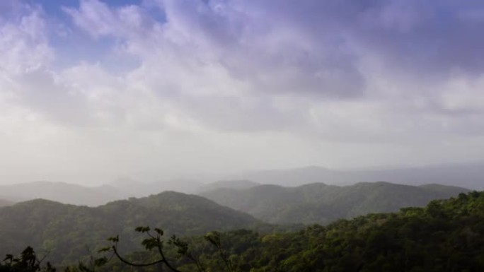 云雾森林，巴拿马生态旅游鸟类观察草原