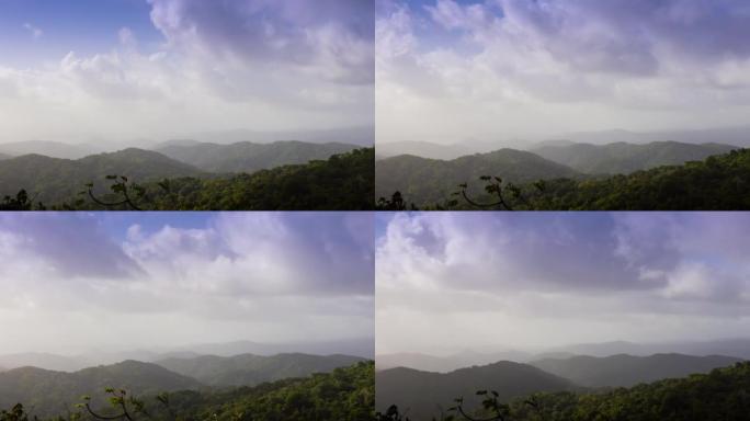 云雾森林，巴拿马生态旅游鸟类观察草原