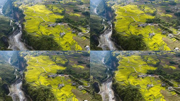 恩施大峡谷田凤坪油菜花海航拍延时4K