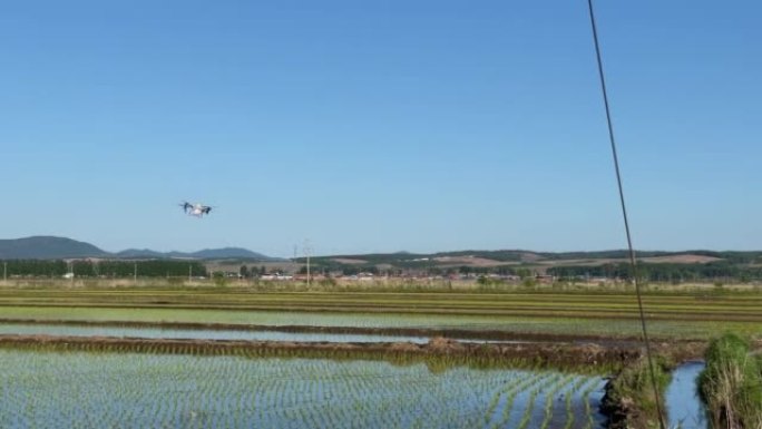 无人机在玉米田喷洒化肥-耕地农业设备